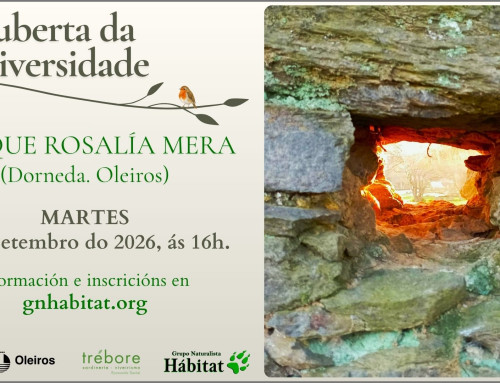 Descuberta da biodiversidade no parque Rosalía Mera (29/09/2026)
