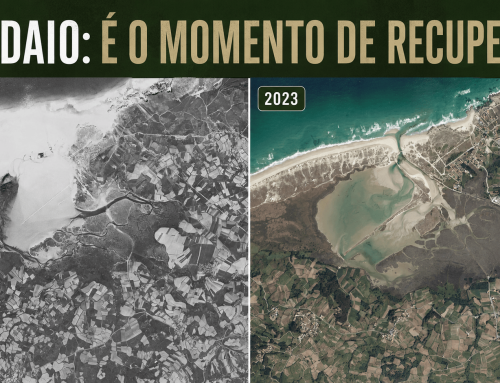 Manifesto pola rehabilitación ambiental de Baldaio
