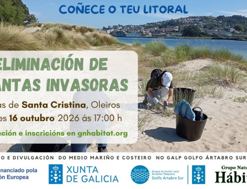 Retirada de invasoras nas dunas de Santa Cristina, Oleiros