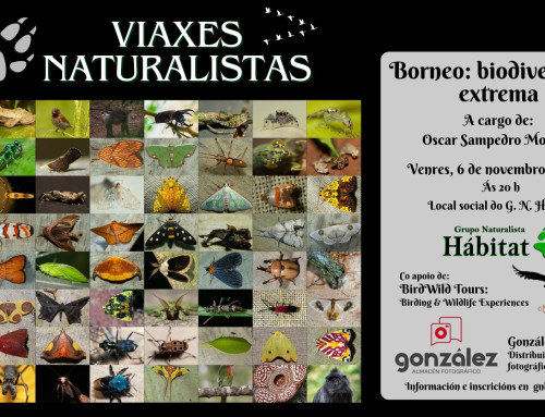 Viaxes Naturalistas: Borneo: Biodiversidad extrema