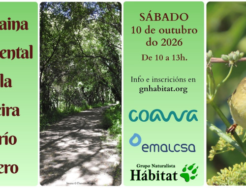 Andaina ambiental pola ribeira do río Mero (10/10/2026)