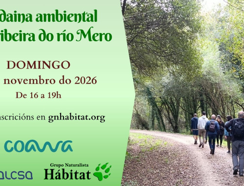 Andaina ambiental pola ribeira do río Mero (01/11/2026)