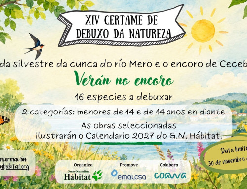 XIV edición do Certame de Debuxo da Natureza “Vida silvestre da cunca do río Mero e o encoro de Cecebre: Verán no encoro”